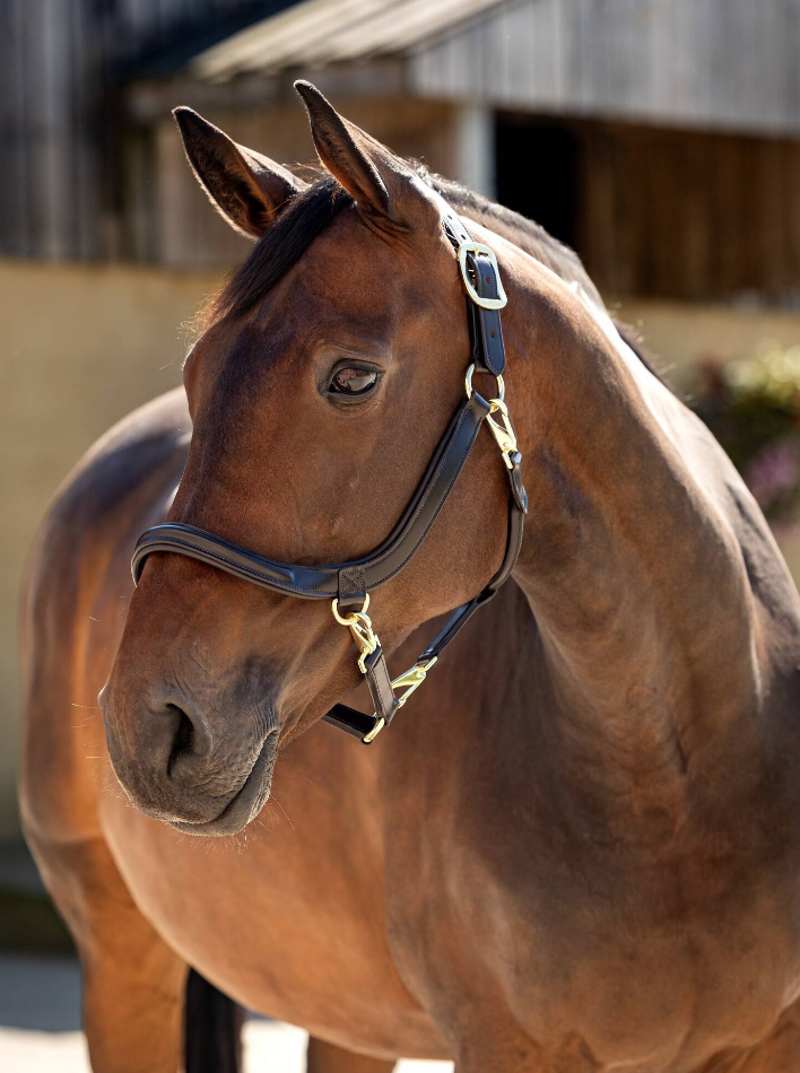 LeMieux Leather Grooming Headcollar Brown-1
